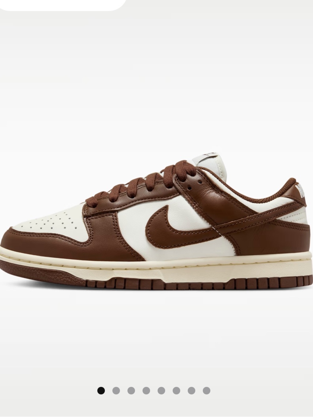 Women’s nike dunk